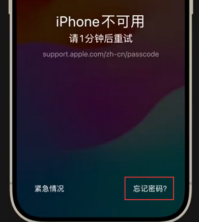 连南苹果手机密码维修分享iPhone忘记了刚设置的密码 