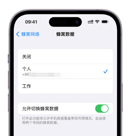 连南苹果维修服务分享如何在iPhone上使用双卡 